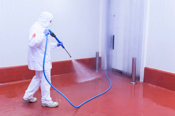 Best Sidewalk and Walkway Cleaning  in Preakness, NJ